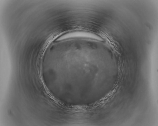 X0000115720241200911121457