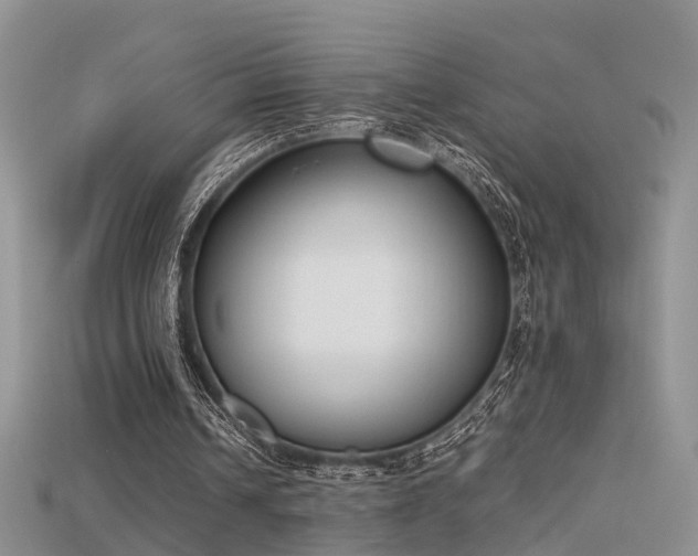 X0000115720242200911121457