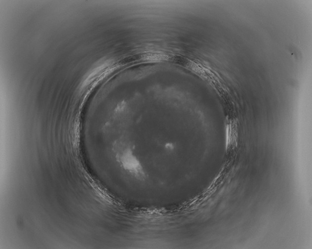 X0000115720243200911121457