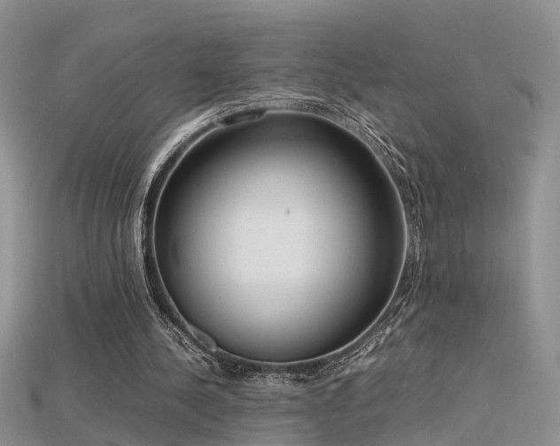 X0000115720244200911121457