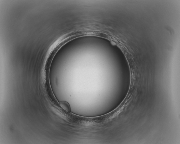 X0000115720246200911121457