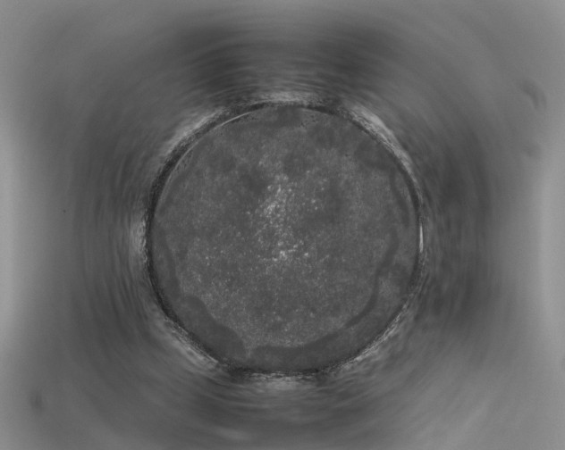 X0000115720249200911121457