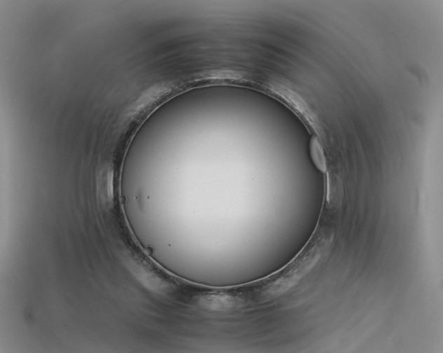 X0000115720253200911121457