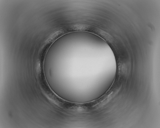 X0000115720254200911121457