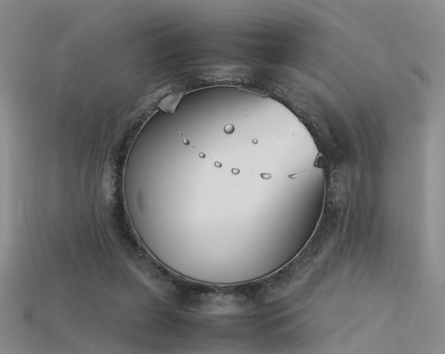 X0000115720255200911121457