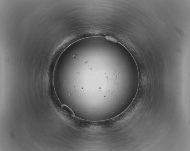 X0000115720256200911121457