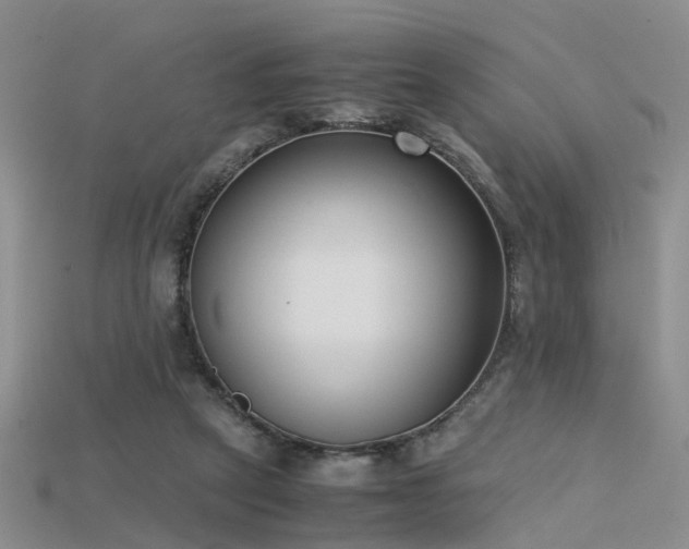X0000115720257200911121457