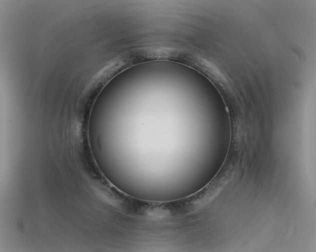 X0000115720258200911121457