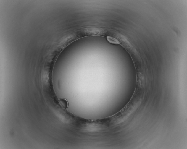 X0000115720259200911121457