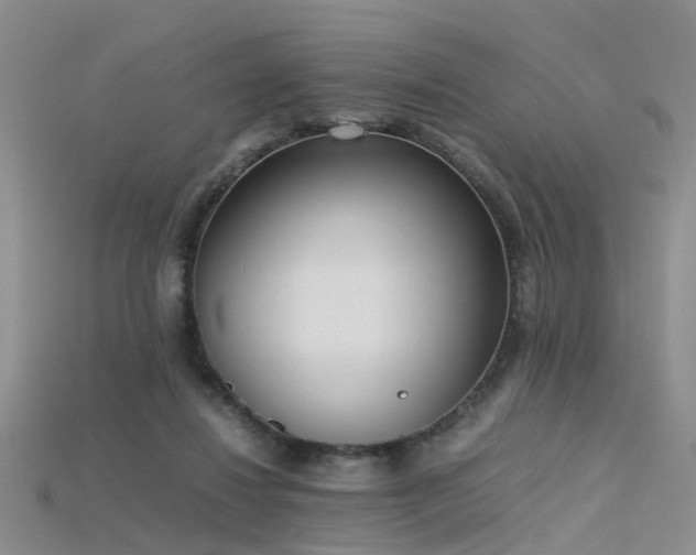 X0000115720260200911121457