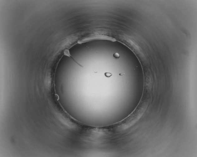 X0000115720261200911121457