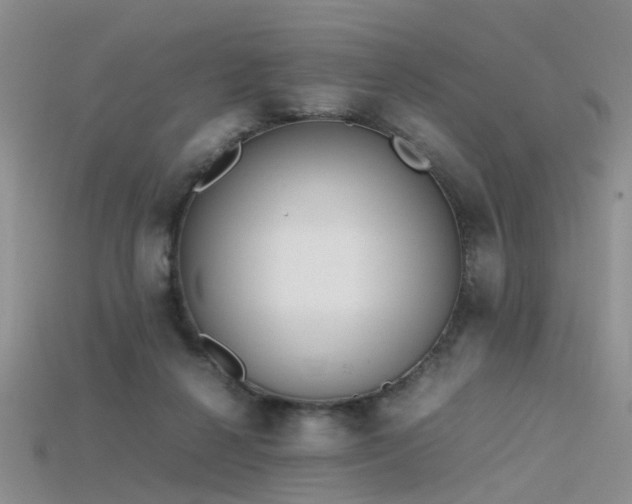 X0000115720264200911121457