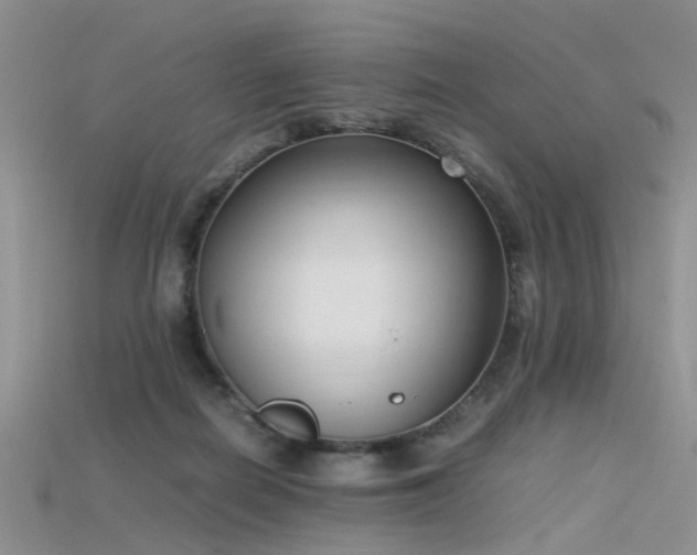 X0000115720266200911121457
