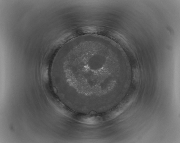 X0000115720267200911121457
