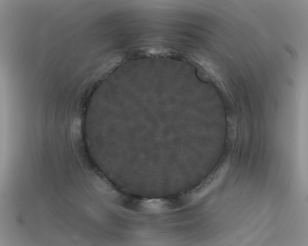 X0000115720269200911121457