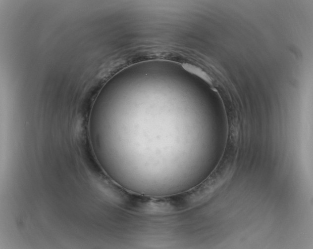 X0000115720270200911121457