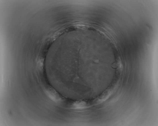 X0000115720271200911121457