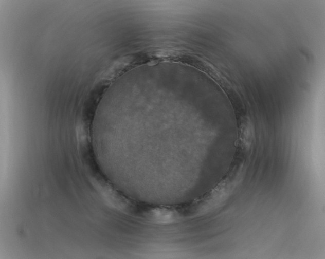 X0000115720272200911121457