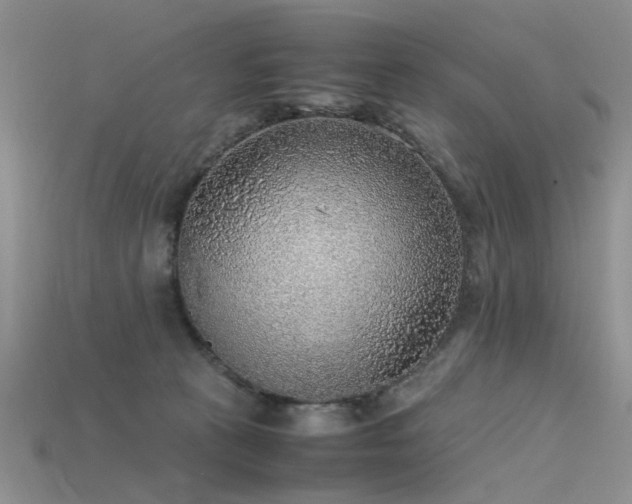 X0000115720273200911121457