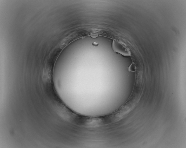 X0000115720274200911121457