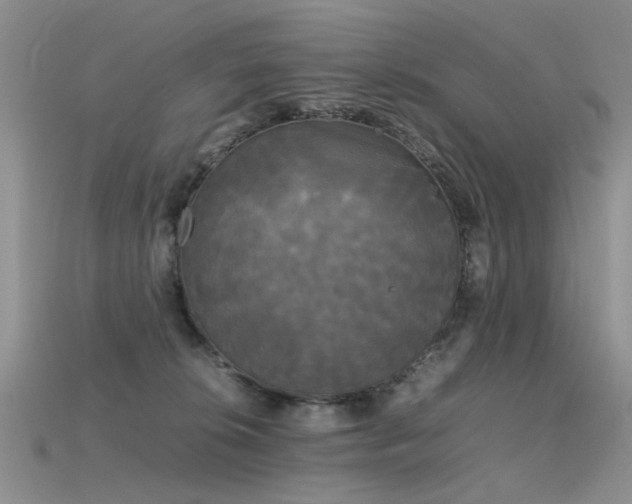 X0000115720276200911121457