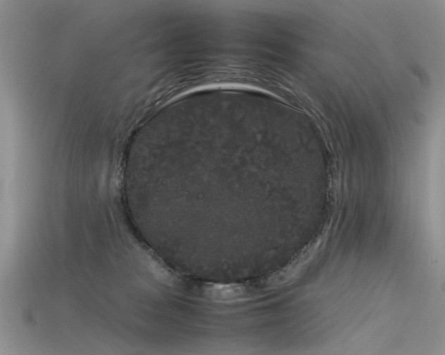 X0000115720277200911121457