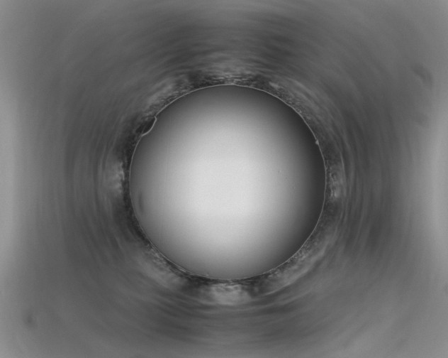X0000115720279200911121457