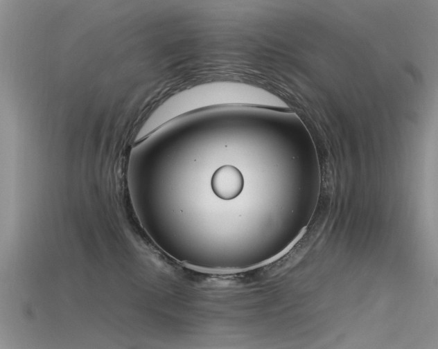 X0000115720280200911121457