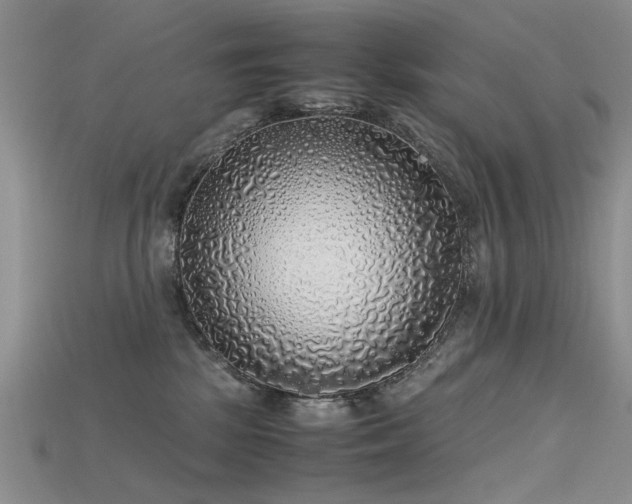 X0000115720281200911121457