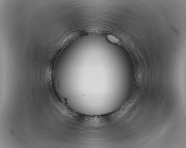 X0000115720282200911121457