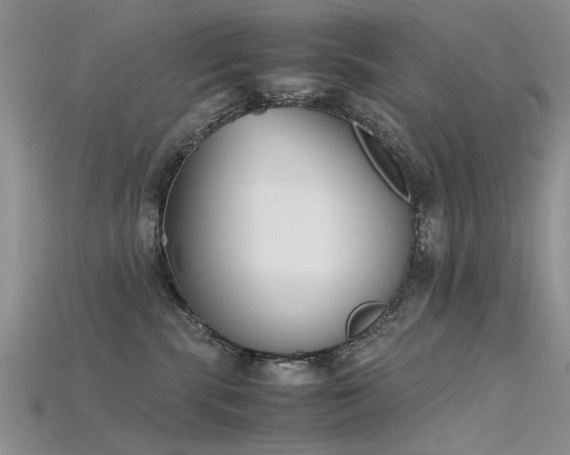 X0000115720283200911121457