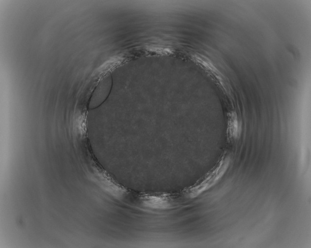 X0000115720285200911121457