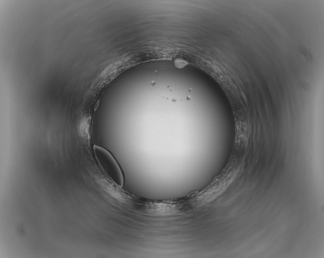 X0000115720286200911121457