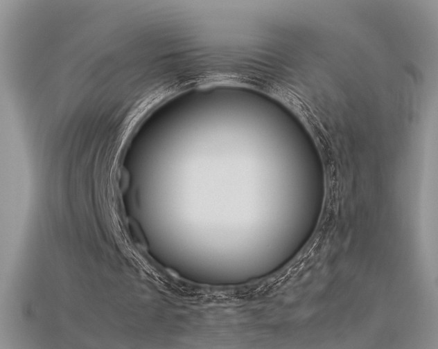X0000115720289200911121457