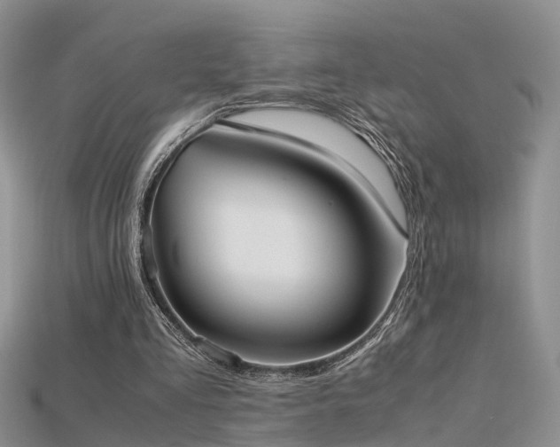 X0000115720293200911121457