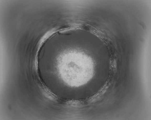 X0000115720294200911121457