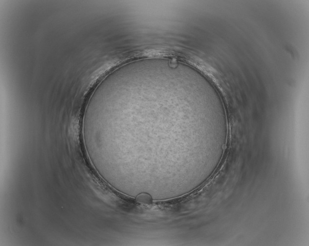 X0000115720297200911121456