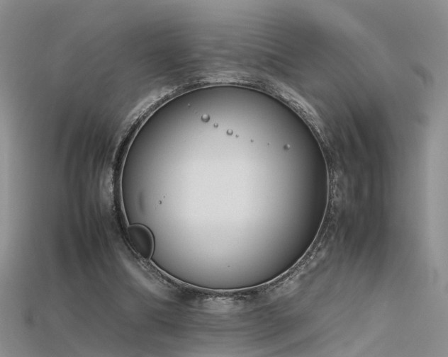 X0000115720298200911121456
