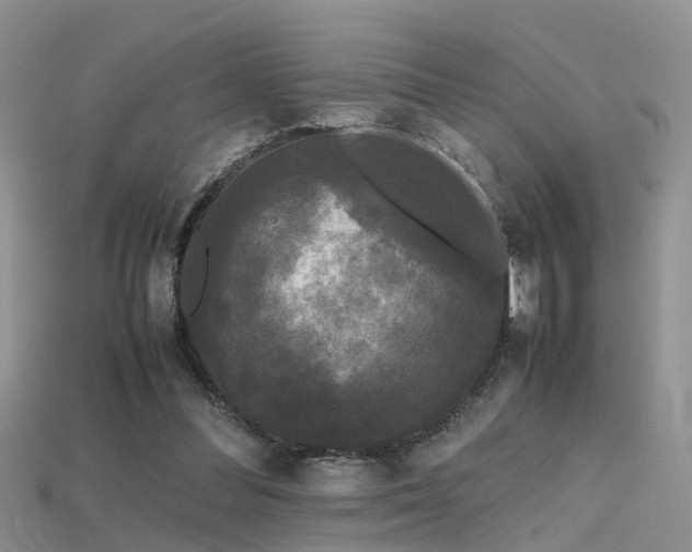 X0000115720300200911121456