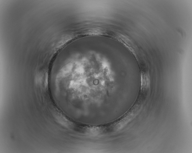 X0000115720301200911121456