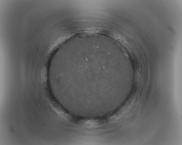 X0000115720303200911121456