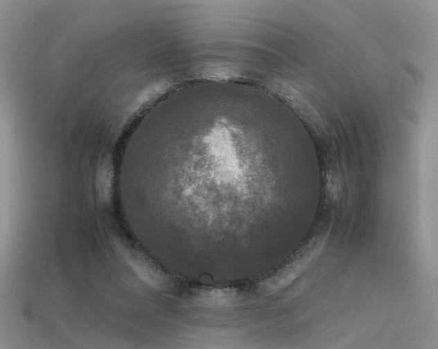 X0000115720304200911121456