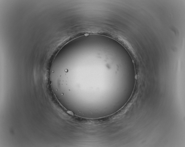 X0000115720305200911121456