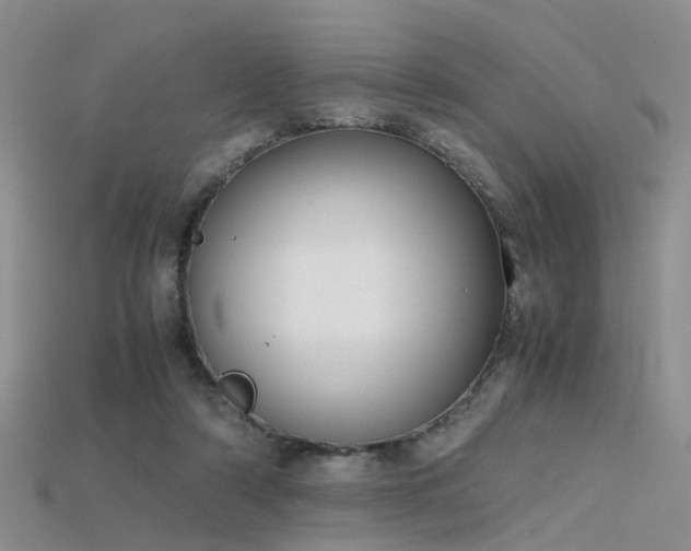X0000115720306200911121456
