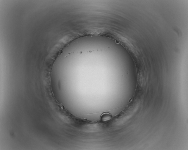 X0000115720307200911121456