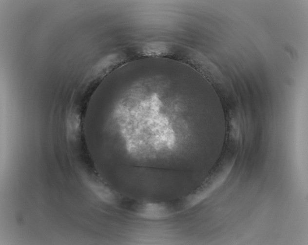 X0000115720308200911121456