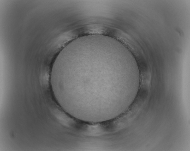 X0000115720309200911121456