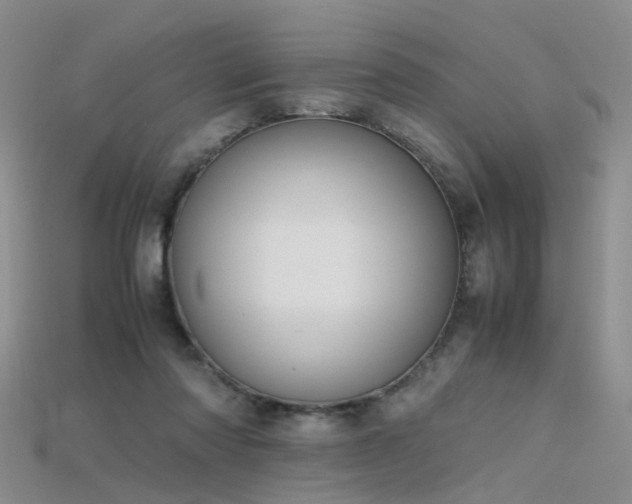 X0000115720310200911121456