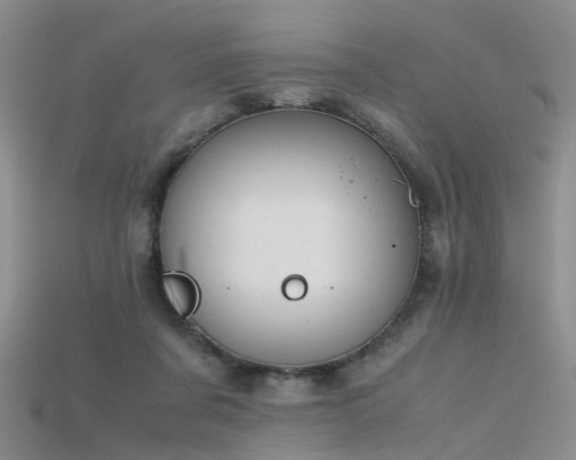 X0000115720311200911121456