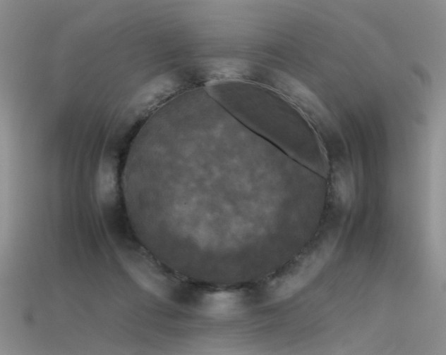 X0000115720312200911121456